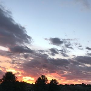 Meet your Posher, Julianna